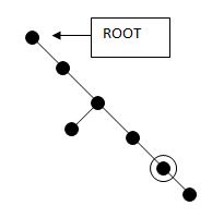 1321_Rooted tree.JPG